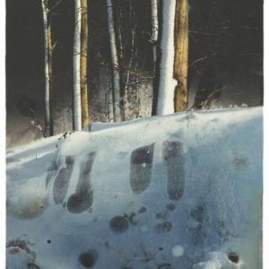 winterlandscape | Robert Wevers