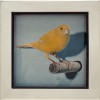 yellow canary | Robert Wevers